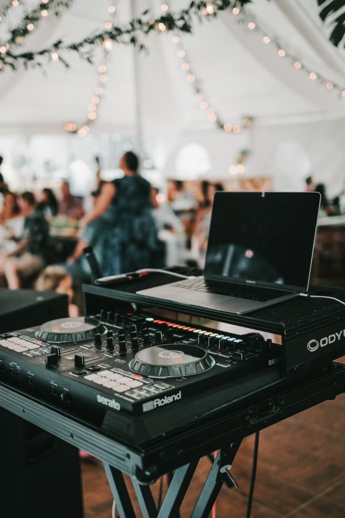 Music & DJ